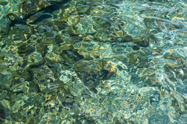istock Abstract texture of clear turquoise sea water with a rocky bottom 1265243105