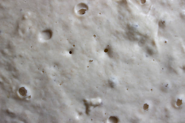 istock Top view wheat flour sourdough with air bubbles for background 1265245313