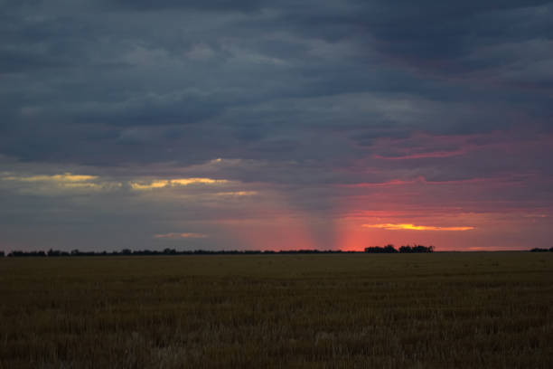 istock Panoramic sunset view from a farm in Australia 1265250748