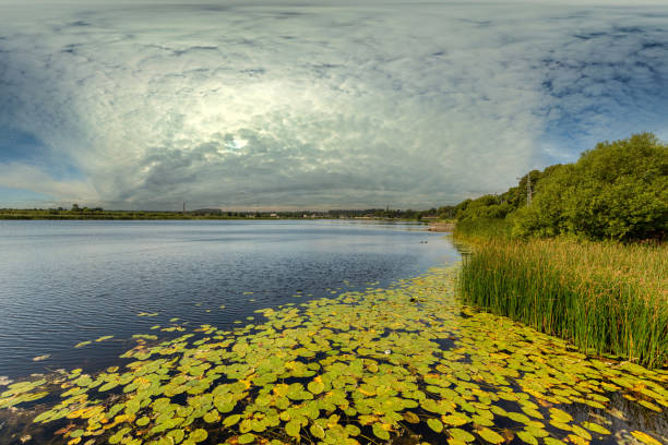 istock Water Lilies and Reeds at the sunny afternoon 1265251096