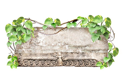 Ancient stone with bas-relief, lianas and leaves of tropical plant. Jungle stone sign. Isolated on white background. Mock up template. Copy space for text