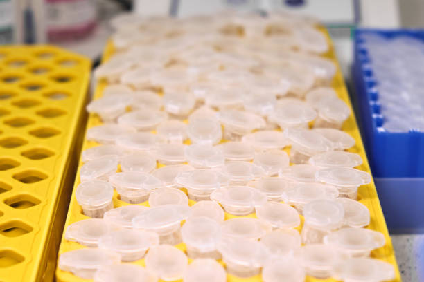 istock Small plastic test tubes in a rack. Microbiology of chemical analysis. Research and development scientific work at the laboratory. 1265255177