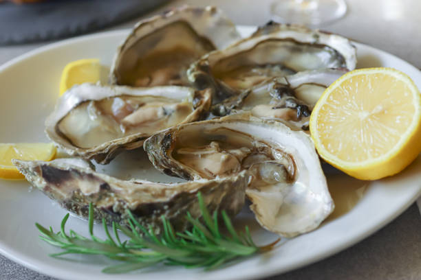 istock Opened oysters on the white plate with lemon 1265267403