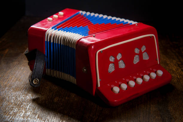 Toy Musical Instrument Accordion