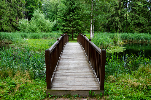 Wooden bridge through the small lake in green park.