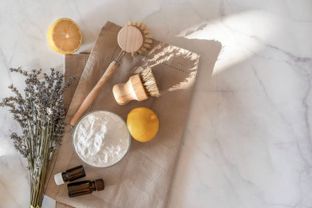 Zero waste kitchen cleaning concept. Eco friendly natural cleaning tools Zero waste kitchen cleaning concept. Eco friendly natural cleaning tools and products, bamboo dish brushes and lemon with baking soda. No plastic, eco-friendly lifestyle. Top view, flat lay. nature russia environmental conservation mineral stock pictures, royalty-free photos & images