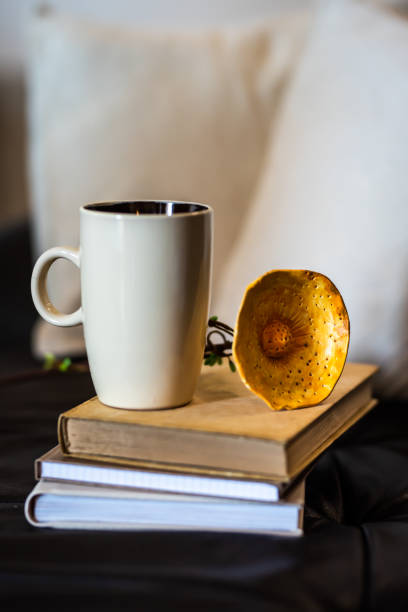 istock Pleasant moments of rest in home 1265280457