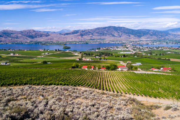 istock Osoyoos Okanagan Valley British Columbia Canada Landscape 1265280656