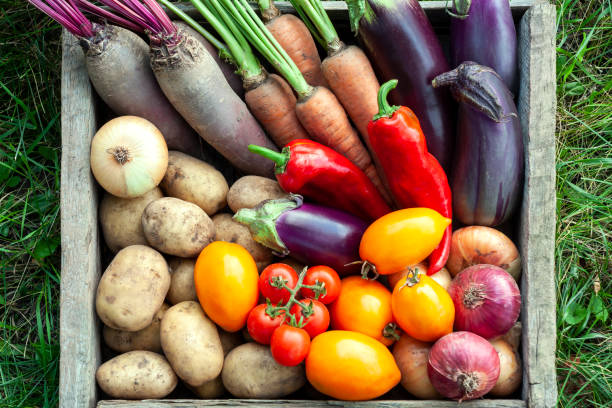 istock Fresh organic vegetables in wooden box 1265280981