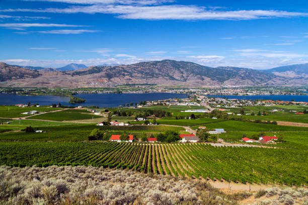 istock Osoyoos Okanagan Valley British Columbia Canada Landscape 1265284526