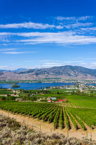 istock Osoyoos Okanagan Valley British Columbia Canada Landscape 1265284690
