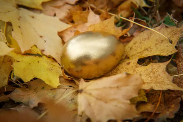 Golden egg idiom concept with colorful autumn leaves