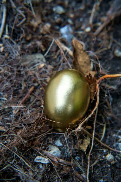 Golden egg metaphor concept
