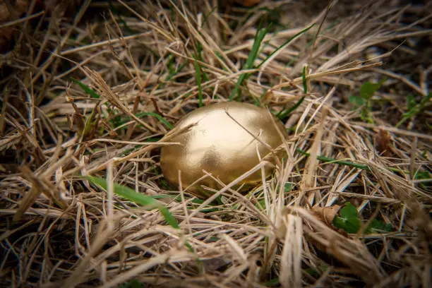 Golden egg idiom concept in spring grass nest