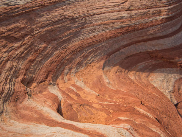istock Wavy rocks with lines and traces in the sand 1265290352