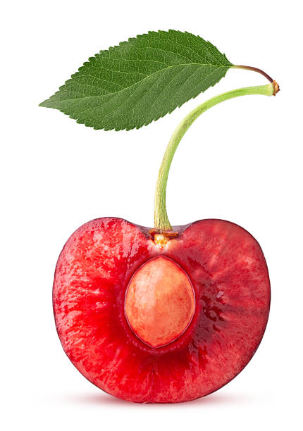 istock Sweet cherry berry cut in half with bone and leaf 1265293138