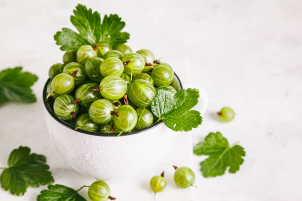 istock Green gooseberries with leaves in a white ceramic plate on a natural marble background. 1265293616