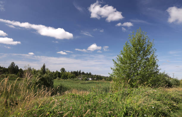 istock Summer Clouds above a Flood Plain in Western Canada 1265296028