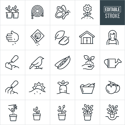 A set of gardening icons with editable strokes or outlines using the EPS file. The icons include plants, garden hose, butterfly, flower, hand planting seeds, seed packet, leaf, shed, female gardener, hand hoe, bird, peas in pod, hand with soil, watering pail, garden rake, carrot in ground, basket full of vegetables, tomatoes, plant growth stages and others.