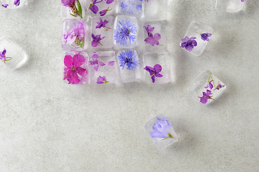Floral ice cubes on gray background, top view. Edible flowers frozen in ice cubes. Horizontal with space for text.