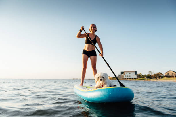 istock Woman Paddle Boarding with Maltese dog 1265307858