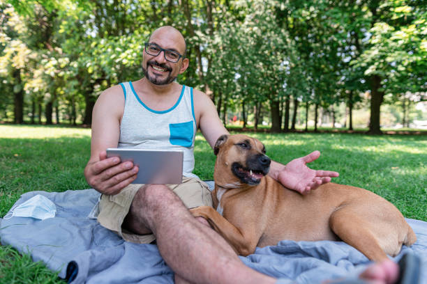 istock Man spending a day in the park with his dog 1265308611