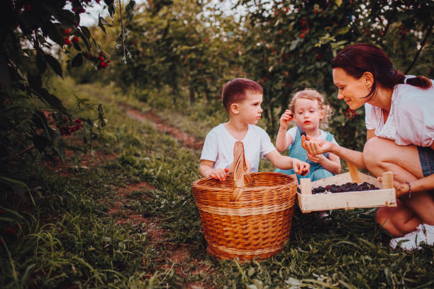 istock Family walk in a blackberry field 1265310773