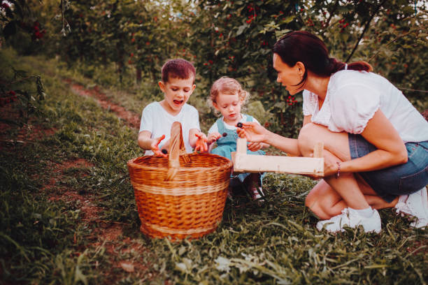 istock Family in the field 1265313423
