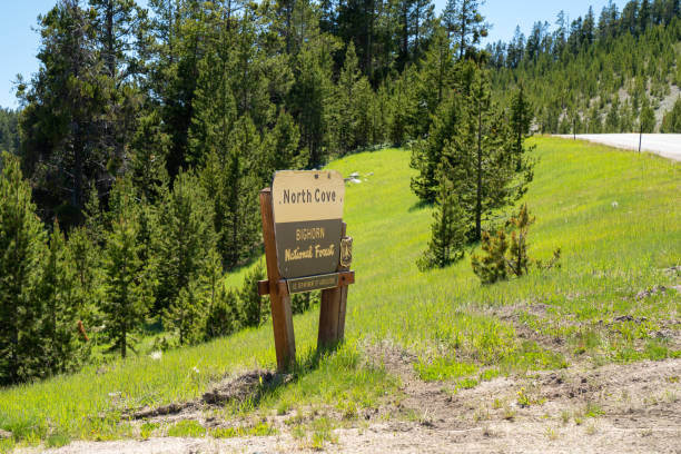 assine para a enseada do norte, um lago e lançamento de barco na floresta nacional de bighorn - bighorn national forest blue wyoming green - fotografias e filmes do acervo