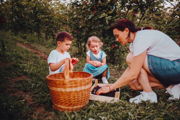 istock The mother and her children pick fruit 1265313473