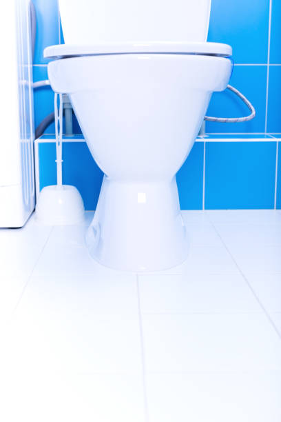 istock White toilet bowl in a bathroom 1265314714