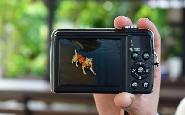istock Compact digital camera Black in hand and photo. 1265314725