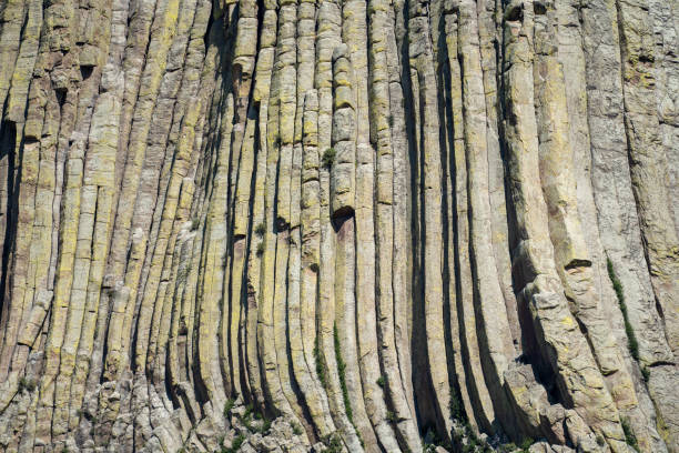 와이오밍의 데빌스 타워 국립 기념물의 수직 현무암 기둥의 세부 보기를 닫습니다 - natural landmark horizontal wyoming usa 뉴스 사진 이미지