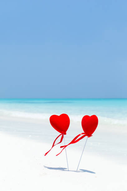 walentynki koncepcja kartka z życzeniami - romance tropical climate ideas travel destinations zdjęcia i obrazy z banku zdjęć