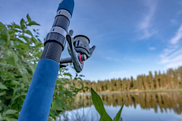 istock fishing on a small lake early morning 1265315583