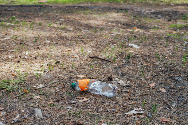 istock Plastic bottle in forest among plants. Toxic plastic into nature everywhere. Rubbish heap in park among vegetation. Contaminated soil. Environmental pollution. Ecological issue. Throw trash anywhere. 1265315914