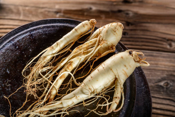 鮮高麗人参 - ginseng ストックフォトと画像