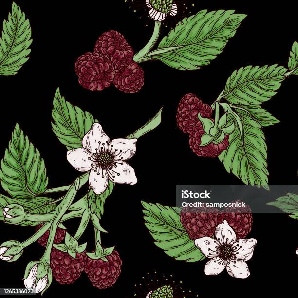 Vintage Raspberry Design Pattern Vintage Raspberry Blossom Seamless Pattern Stock Illustration ...