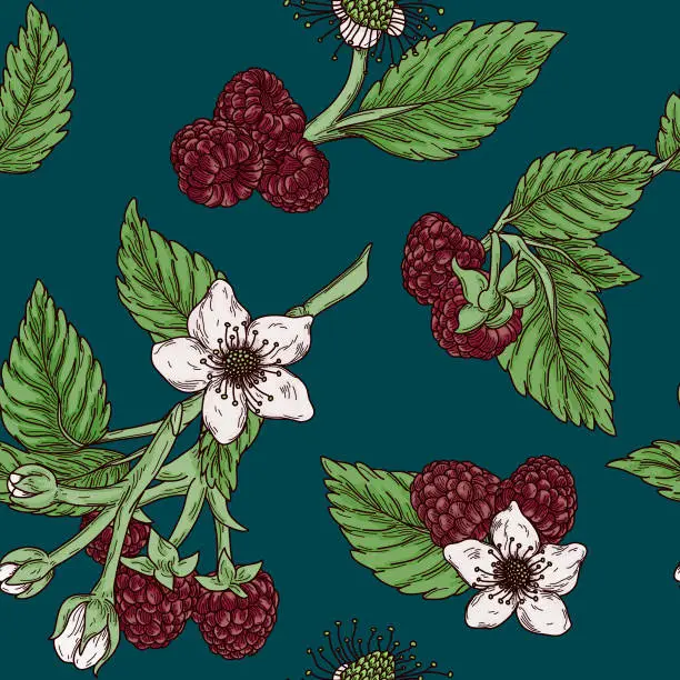 Vector illustration of Vintage Raspberry Blossom Seamless Pattern