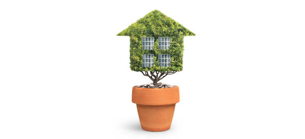 istock Eco model house , home green leaves 1265336350