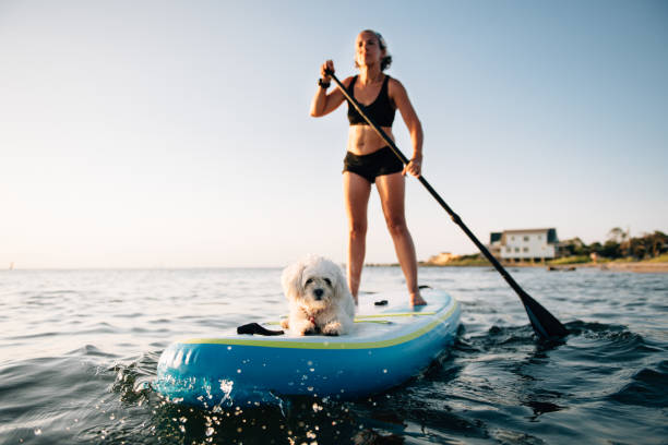 istock Woman Paddle Boarding with Maltese dog 1265340133