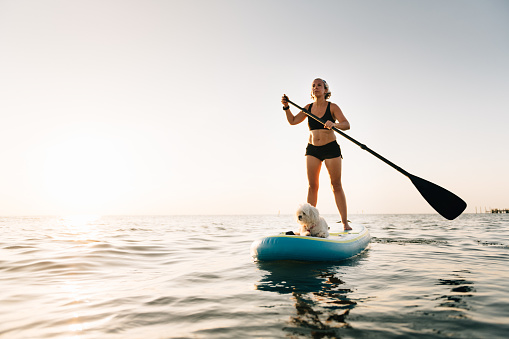 Woman paddle boarding with Maltese dog