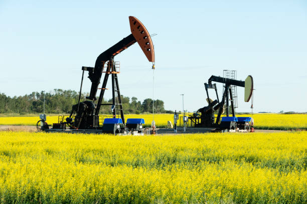 prairie oil pump jacks canada usa - manitoba canada prairie canola foto e immagini stock