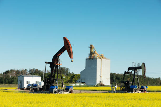 istock Prairie Oil Pump Jacks Canada USA 1265344950
