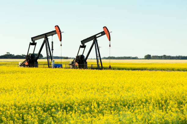 prairie oil pump jacks kanada usa - manitoba canada prairie canola zdjęcia i obrazy z banku zdjęć