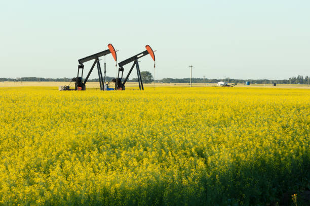 istock Prairie Oil Pump Jacks Canada USA 1265347027