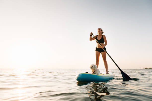 Woman Paddle Boarding with Maltese dog