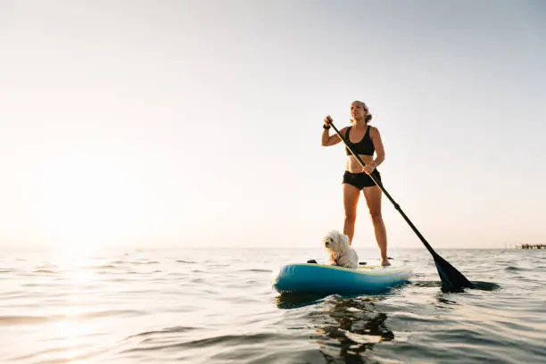 Photo of Woman Paddle Boarding with Maltese dog