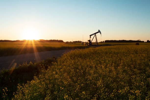 istock Prairie Oil Pump Jacks Canada USA 1265348585