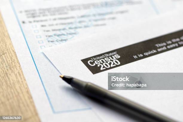 United States Census 2020 Form Stock Photo - Download Image Now - Census, 2020, USA